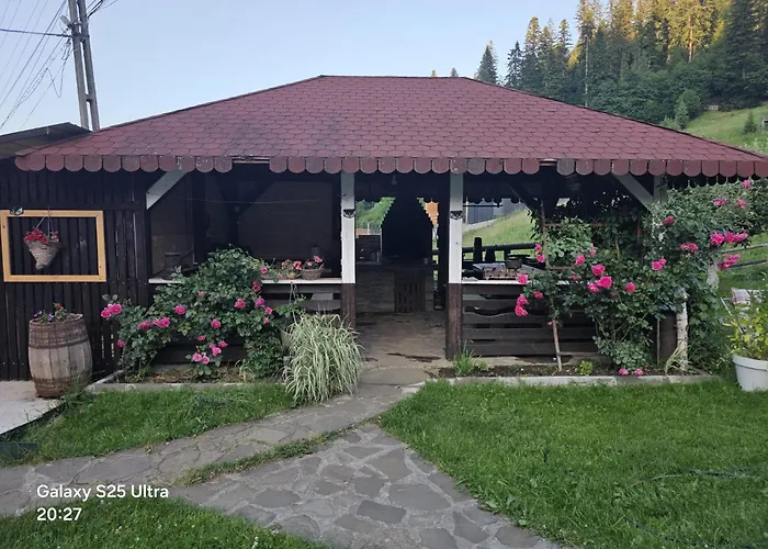 Pensiunea Daria Putna
