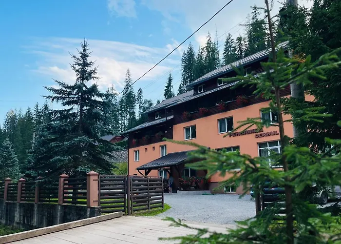 Pensiunea Cerbul Lacul Roşu