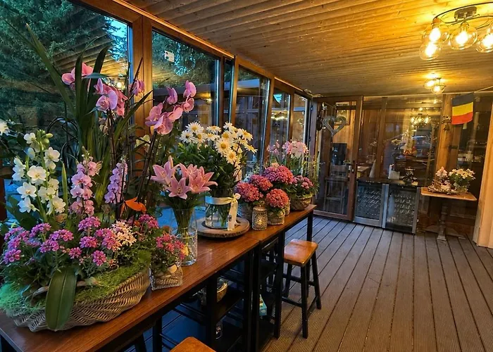 Cabana Din Poienita Poiana Braşov