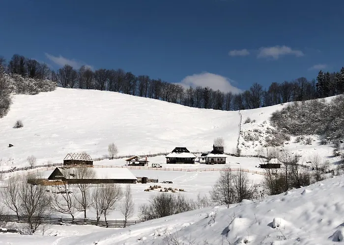 Hanul Bucovinei Câmpulung Moldovenesc