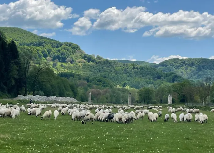 Pensiunea Trei Ponei Corbeni