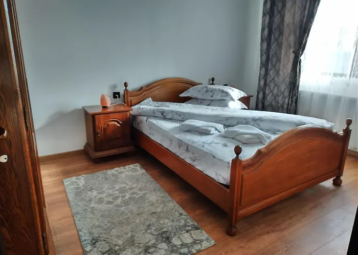 Pensiunea Casa Nușa Baia de Fier