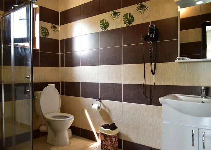 Pensiunea Casa Nușa Baia de Fier
