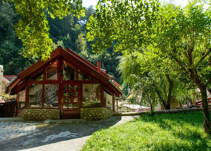 Rem'S Pension Rîşnov