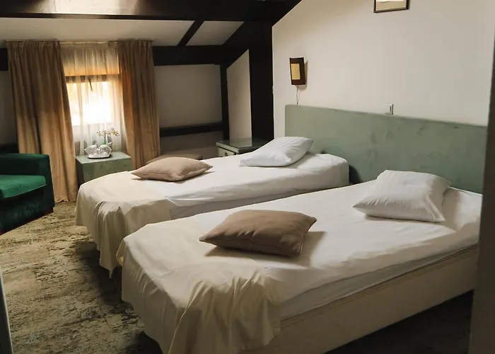 Hotel Regina Sinaia