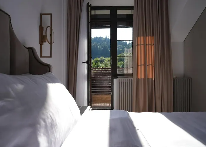 Infinity Villa Predeal