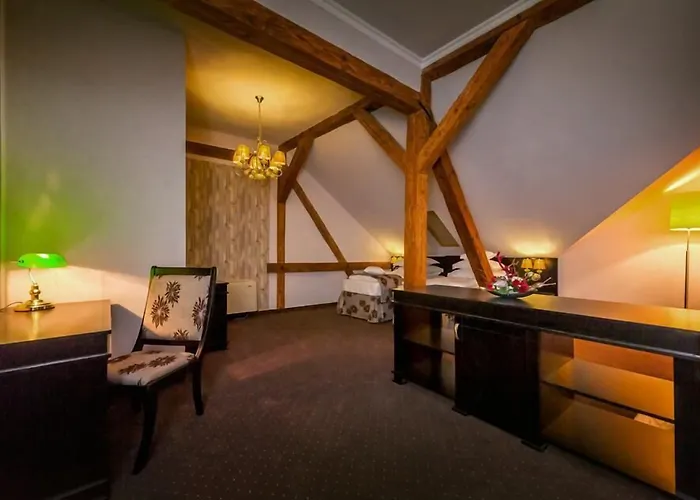 Hotel Central Park Sighişoara