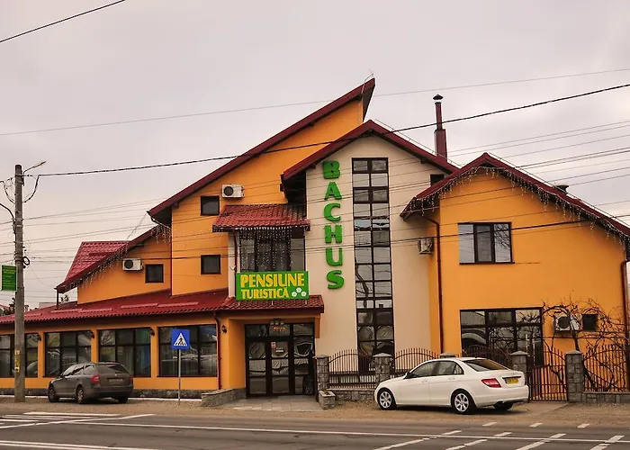 Pensiunea Bachus Piatra Neamţ