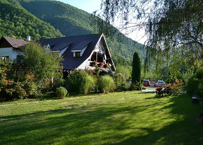 Pensiunea Dumbrăvița Rîu de Mori