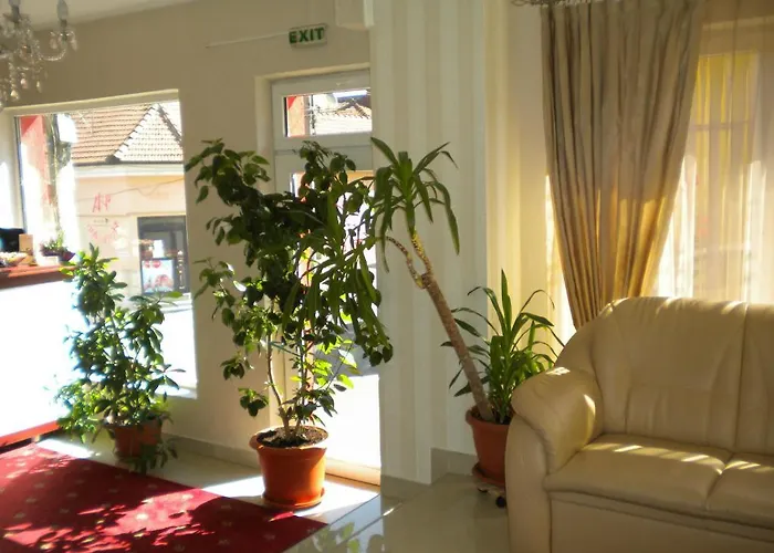 Hotel Ary Cluj-Napoca