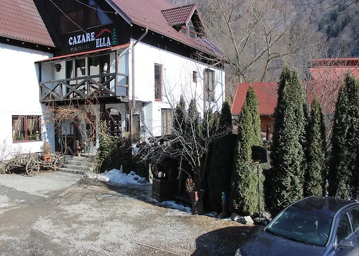 Casa Ella Hotel Sinaia