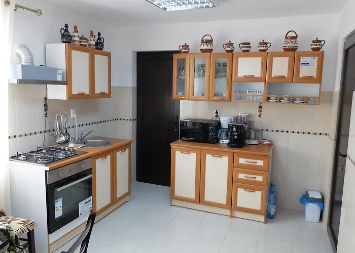 Pensiunea Baias Bîrsana