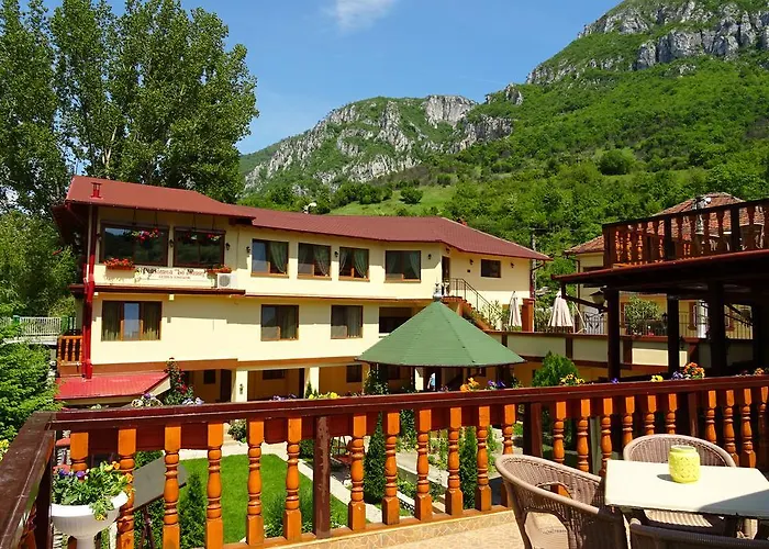 Pension Cuibul Viselor Băile Herculane