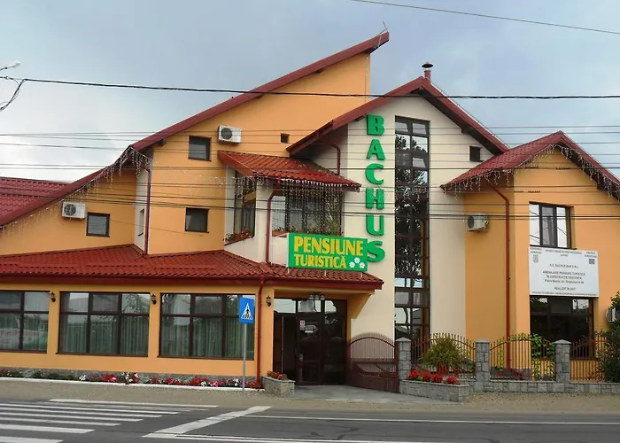 Pensiunea Bachus Piatra Neamţ