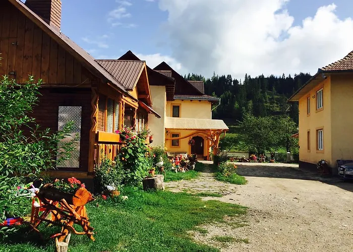 Casa Irinuca Hotel Sadova 