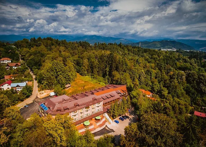 Hotel Ciobanasu Câmpulung
