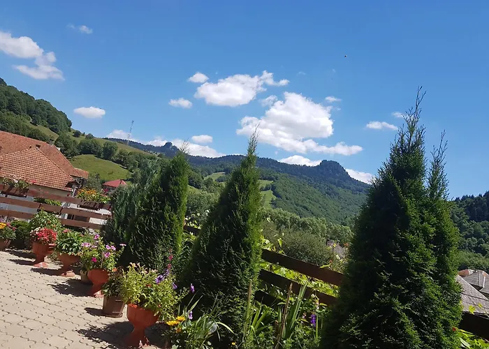 Pensiunea Casa Motilor Bucium 