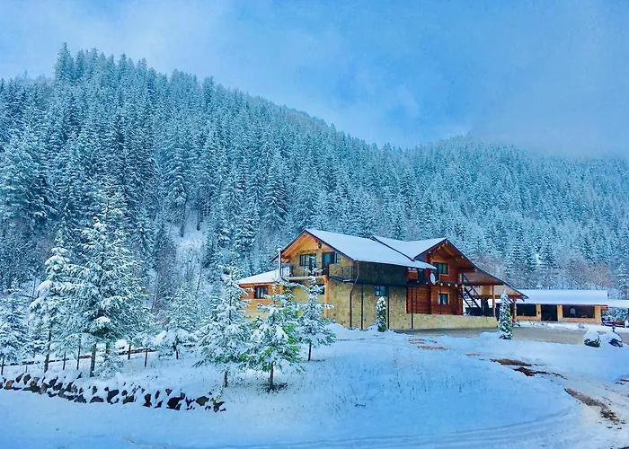 Staniștea Cerbilor Hotel Câmpulung Moldovenesc