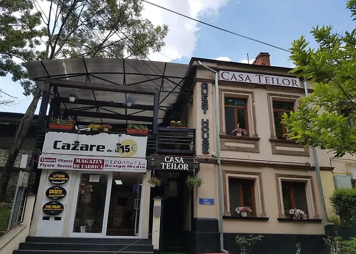 Casa Teilor Hotel Piteşti