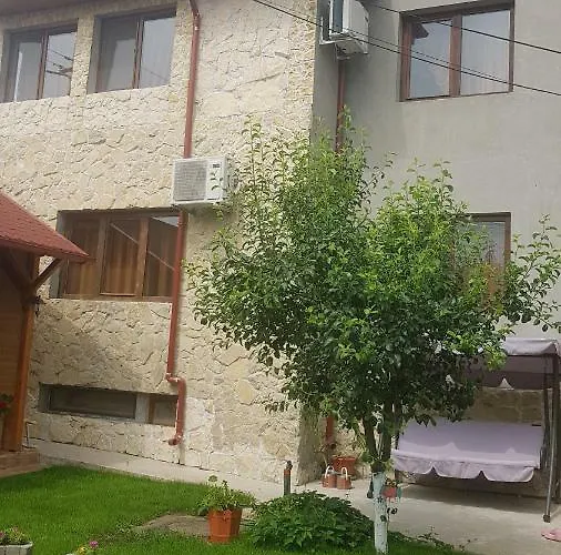 Casa Andrei Techirghiol Hotel