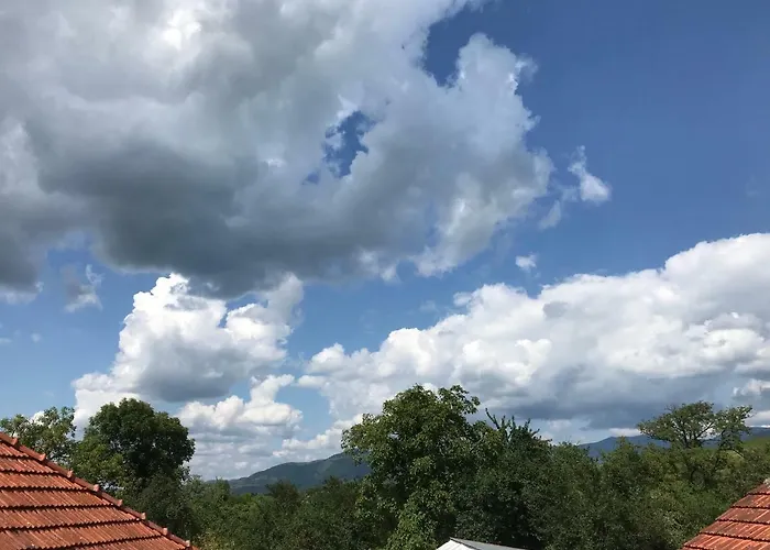 Sergilliohouse Chiscau