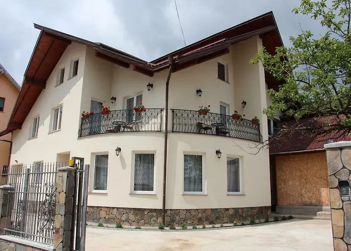 Casa Ivascu Moisei Hotel