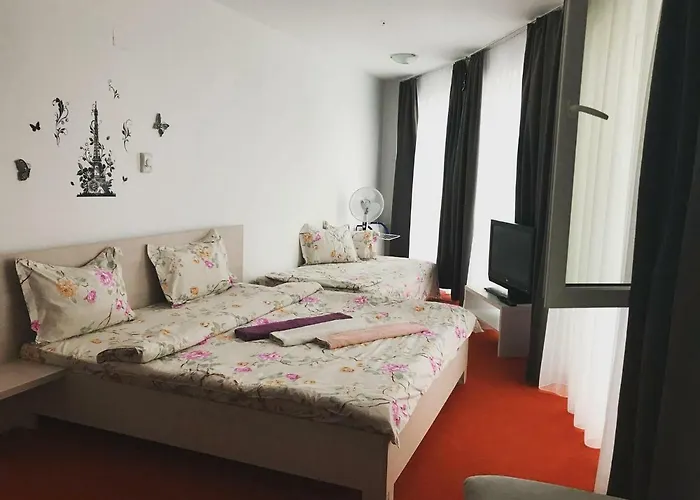 Casa Mario Hotel Băile Felix