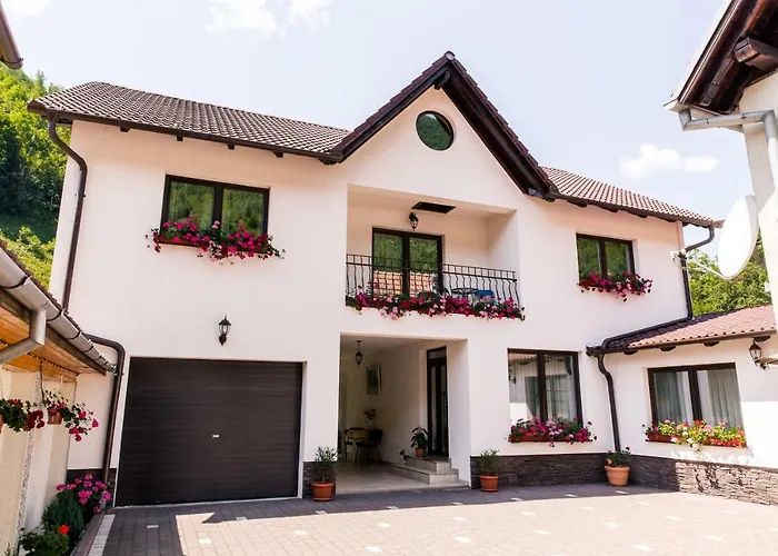 Vila Rodica Transalpina Şugag