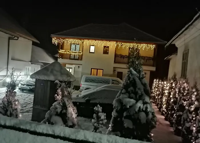 Casa Bunicii Hotel Moisei