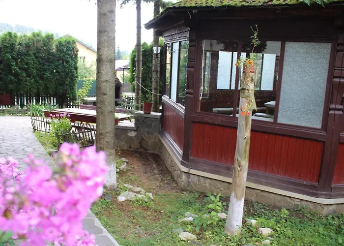 Pension Roni Buşteni