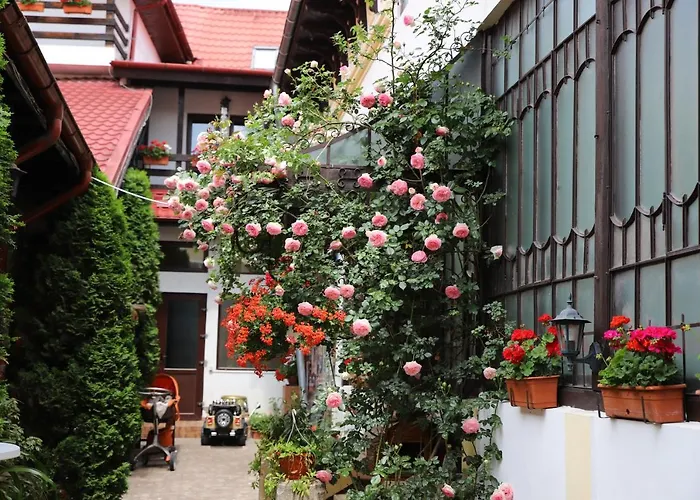 Pension Kokett Câmpulung